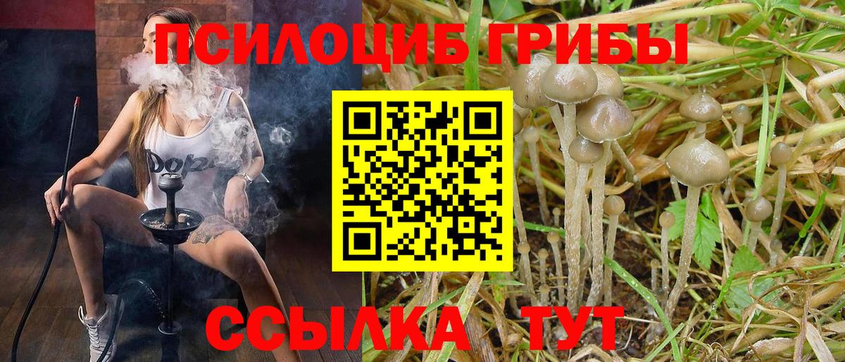 Каннабис Новокузнецк