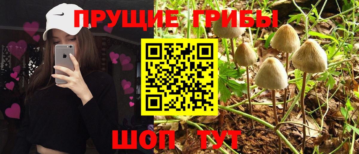 Псилоцибиновые грибы ЛСД  Вход с VPN  Новокузнецк  Галлюциногенные грибы ЛСД 