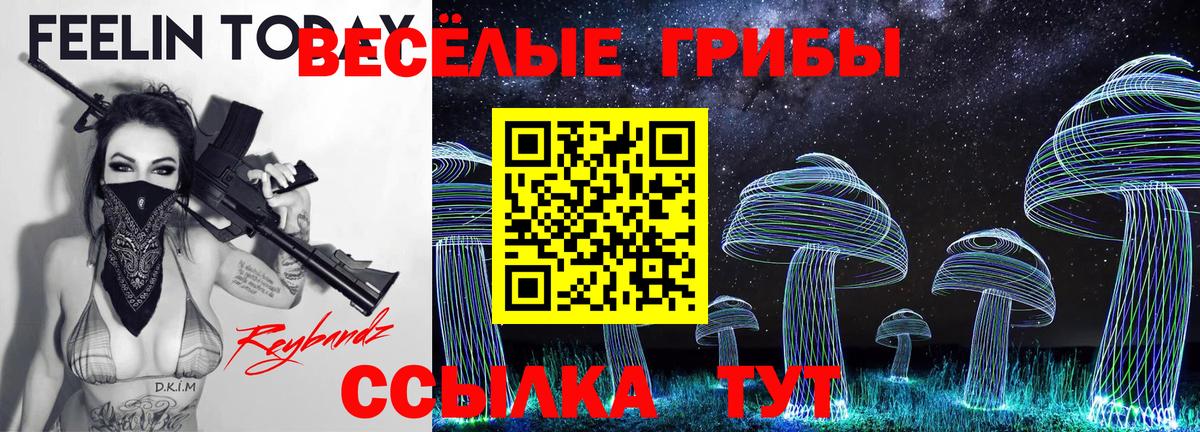 Галлюциногенные грибы ЛСД Новокузнецк