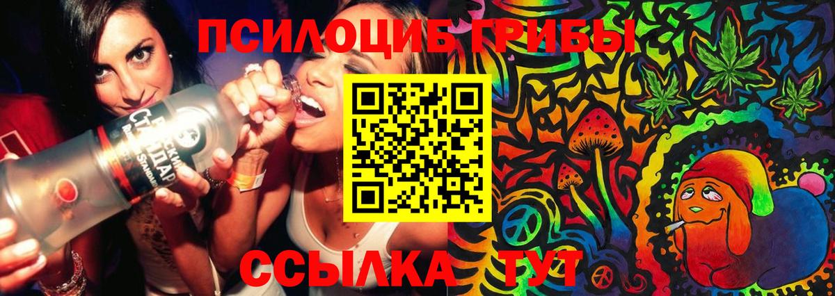 Галлюциногенные грибы Psilocybine cubensis  Галлюциногенные грибы прущие грибы  Новокузнецк 